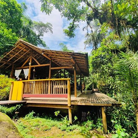 Eco Chales Caminho Das Aguas Barra Grande  エクステリア 写真