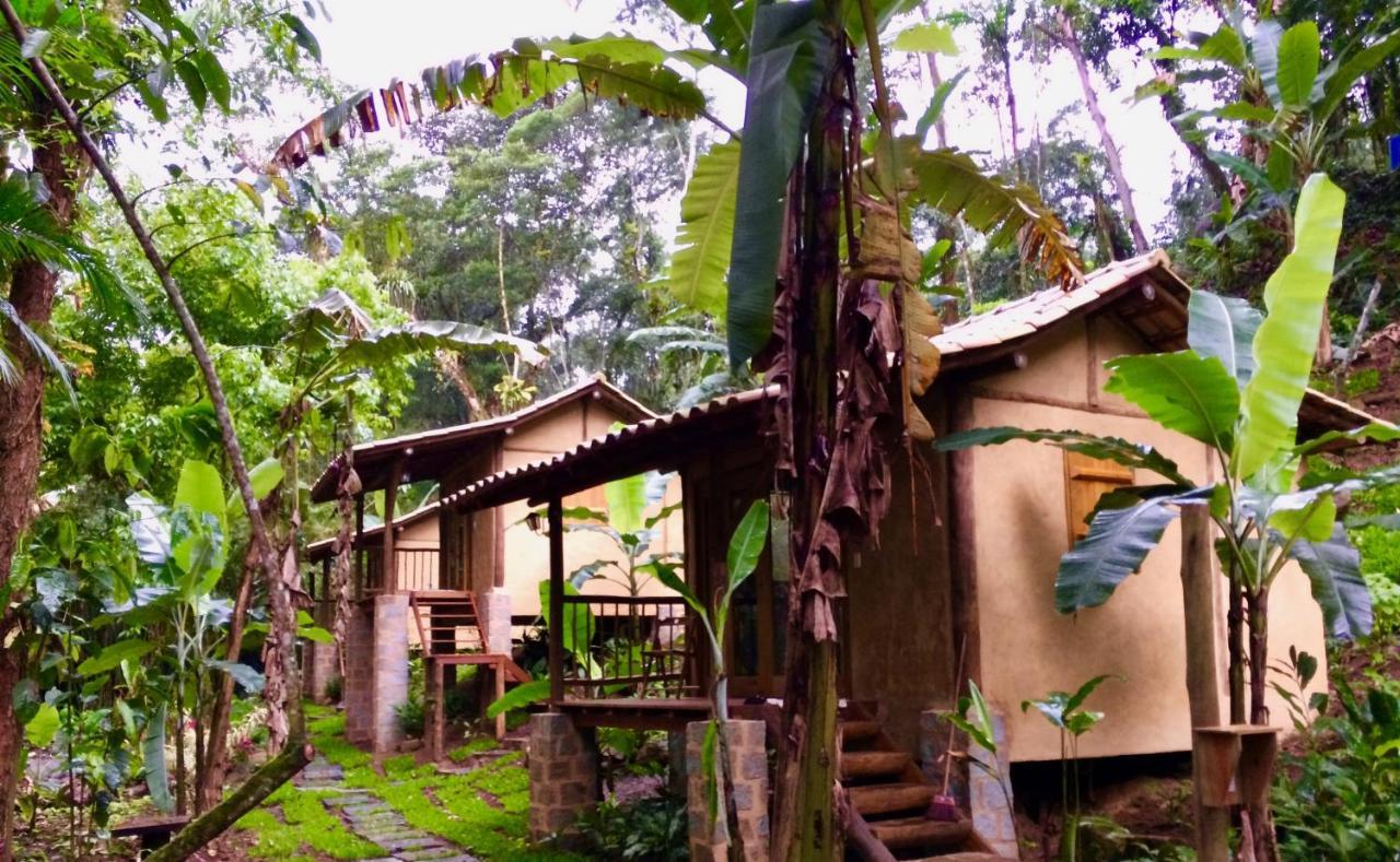 Eco Chales Caminho Das Aguas Barra Grande  エクステリア 写真