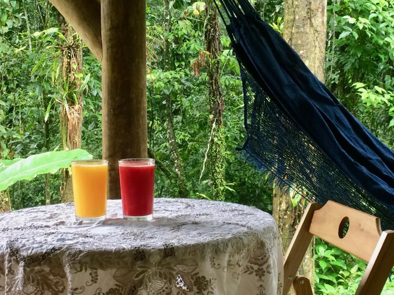 Eco Chales Caminho Das Aguas Barra Grande  エクステリア 写真