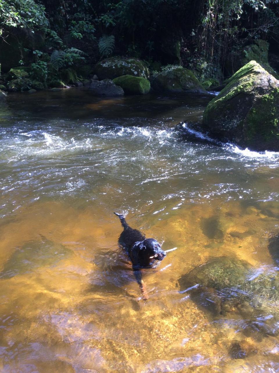 Eco Chales Caminho Das Aguas Barra Grande  エクステリア 写真