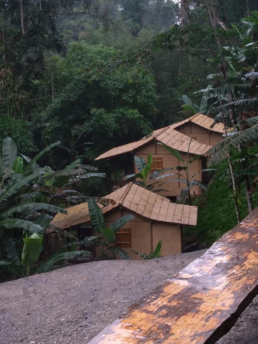 Eco Chales Caminho Das Aguas Barra Grande  エクステリア 写真