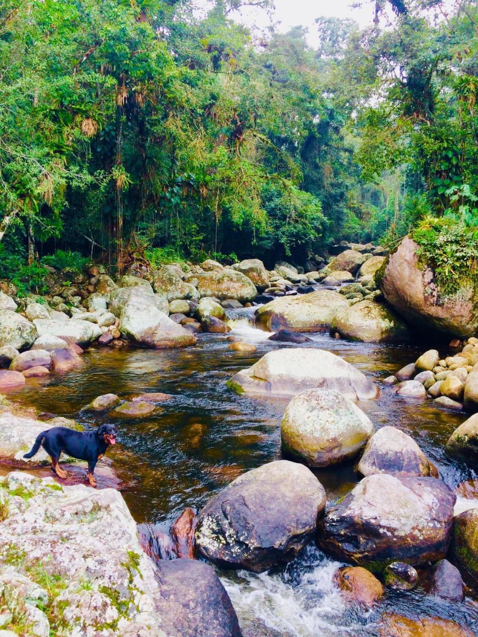 Eco Chales Caminho Das Aguas Barra Grande  エクステリア 写真